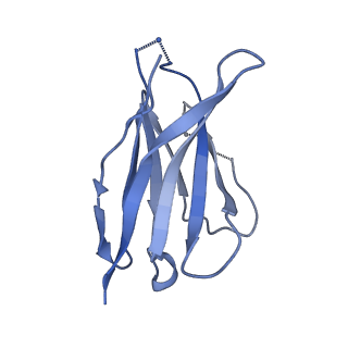 25877_7tfn_J_v1-2
Cryo-EM structure of CD4bs antibody Ab1303 in complex with HIV-1 Env trimer BG505 SOSIP.664