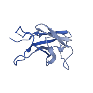 25877_7tfn_L_v1-2
Cryo-EM structure of CD4bs antibody Ab1303 in complex with HIV-1 Env trimer BG505 SOSIP.664