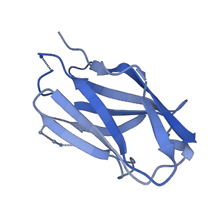 25877_7tfn_Q_v1-2
Cryo-EM structure of CD4bs antibody Ab1303 in complex with HIV-1 Env trimer BG505 SOSIP.664