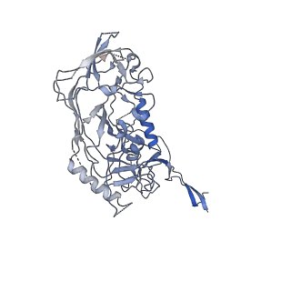 25878_7tfo_C_v1-2
Cryo-EM structure of HIV-1 Env trimer BG505 SOSIP.664 in complex with CD4bs antibody Ab1573