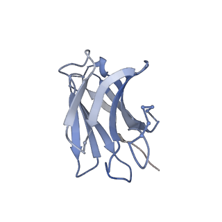 25878_7tfo_H_v1-2
Cryo-EM structure of HIV-1 Env trimer BG505 SOSIP.664 in complex with CD4bs antibody Ab1573