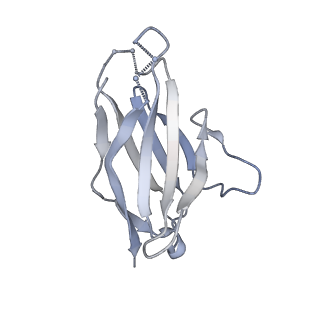 25878_7tfo_J_v1-2
Cryo-EM structure of HIV-1 Env trimer BG505 SOSIP.664 in complex with CD4bs antibody Ab1573
