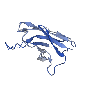 25878_7tfo_L_v1-2
Cryo-EM structure of HIV-1 Env trimer BG505 SOSIP.664 in complex with CD4bs antibody Ab1573