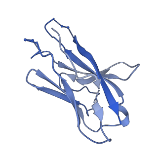 25878_7tfo_Q_v1-2
Cryo-EM structure of HIV-1 Env trimer BG505 SOSIP.664 in complex with CD4bs antibody Ab1573