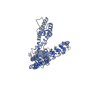 41218_8tf3_A_v1-0
Wildtype rabbit TRPV5 into nanodiscs in complex with econazole