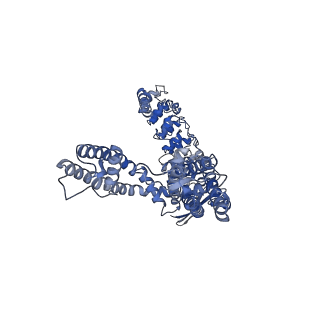 41218_8tf3_B_v1-0
Wildtype rabbit TRPV5 into nanodiscs in complex with econazole