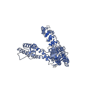 41218_8tf3_B_v1-1
Wildtype rabbit TRPV5 into nanodiscs in complex with econazole