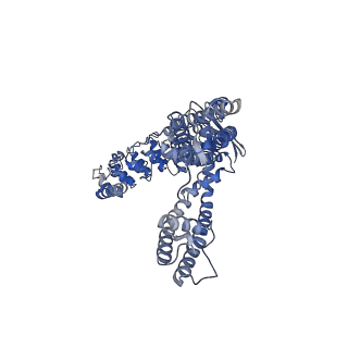 41218_8tf3_C_v1-0
Wildtype rabbit TRPV5 into nanodiscs in complex with econazole