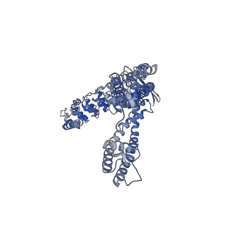 41218_8tf3_C_v1-1
Wildtype rabbit TRPV5 into nanodiscs in complex with econazole
