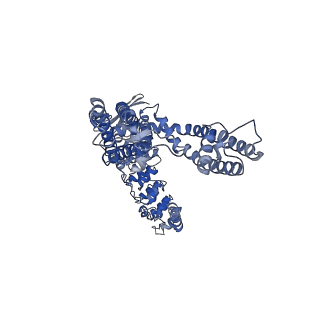 41218_8tf3_D_v1-0
Wildtype rabbit TRPV5 into nanodiscs in complex with econazole
