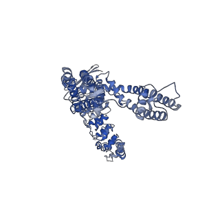 41218_8tf3_D_v1-1
Wildtype rabbit TRPV5 into nanodiscs in complex with econazole