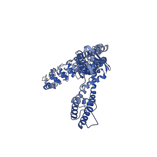 41219_8tf4_C_v1-1
Wildtype rabbit TRPV5 into nanodiscs in the presence of PI(4,5)P2 and econazole