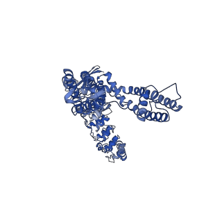 41219_8tf4_D_v1-1
Wildtype rabbit TRPV5 into nanodiscs in the presence of PI(4,5)P2 and econazole