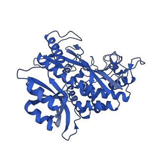41228_8tfb_A_v1-1
Cryo-EM structure of the Methanosarcina mazei apo glutamin synthetase structure: dodecameric form
