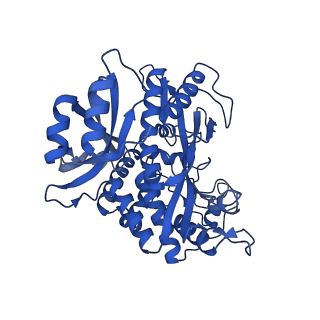 41228_8tfb_B_v1-1
Cryo-EM structure of the Methanosarcina mazei apo glutamin synthetase structure: dodecameric form