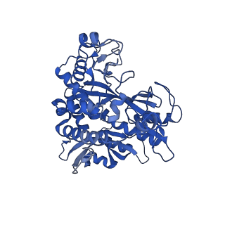 41228_8tfb_C_v1-1
Cryo-EM structure of the Methanosarcina mazei apo glutamin synthetase structure: dodecameric form