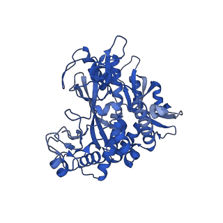 41228_8tfb_L_v1-1
Cryo-EM structure of the Methanosarcina mazei apo glutamin synthetase structure: dodecameric form