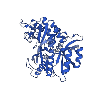 41228_8tfb_M_v1-1
Cryo-EM structure of the Methanosarcina mazei apo glutamin synthetase structure: dodecameric form