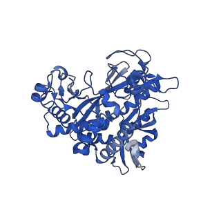 41228_8tfb_O_v1-1
Cryo-EM structure of the Methanosarcina mazei apo glutamin synthetase structure: dodecameric form