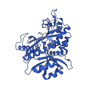 41228_8tfb_P_v1-1
Cryo-EM structure of the Methanosarcina mazei apo glutamin synthetase structure: dodecameric form