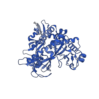 41228_8tfb_Q_v1-1
Cryo-EM structure of the Methanosarcina mazei apo glutamin synthetase structure: dodecameric form