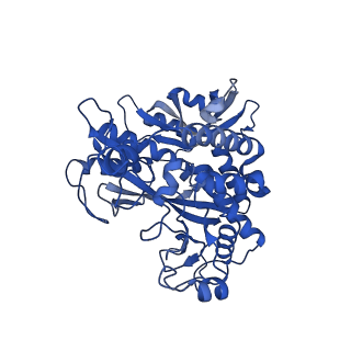 41228_8tfb_V_v1-1
Cryo-EM structure of the Methanosarcina mazei apo glutamin synthetase structure: dodecameric form