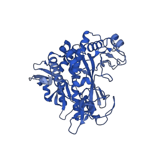 41228_8tfb_X_v1-1
Cryo-EM structure of the Methanosarcina mazei apo glutamin synthetase structure: dodecameric form