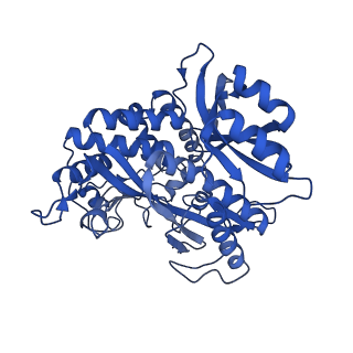 41228_8tfb_Y_v1-1
Cryo-EM structure of the Methanosarcina mazei apo glutamin synthetase structure: dodecameric form
