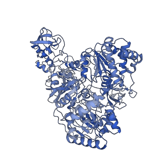 10495_6tg9_A_v1-1
Cryo-EM Structure of NADH reduced form of NAD+-dependent Formate Dehydrogenase from Rhodobacter capsulatus