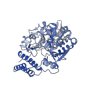 10495_6tg9_B_v1-1
Cryo-EM Structure of NADH reduced form of NAD+-dependent Formate Dehydrogenase from Rhodobacter capsulatus
