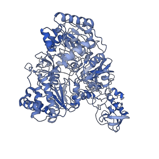 10495_6tg9_E_v1-1
Cryo-EM Structure of NADH reduced form of NAD+-dependent Formate Dehydrogenase from Rhodobacter capsulatus