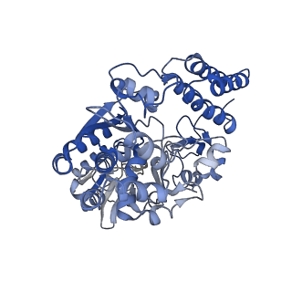 10495_6tg9_F_v1-1
Cryo-EM Structure of NADH reduced form of NAD+-dependent Formate Dehydrogenase from Rhodobacter capsulatus