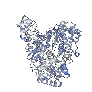 10496_6tga_A_v1-1
Cryo-EM Structure of as isolated form of NAD+-dependent Formate Dehydrogenase from Rhodobacter capsulatus