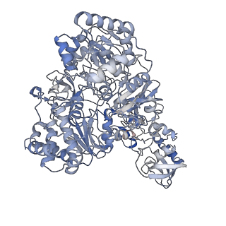 10496_6tga_E_v1-1
Cryo-EM Structure of as isolated form of NAD+-dependent Formate Dehydrogenase from Rhodobacter capsulatus