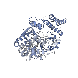 10496_6tga_F_v1-1
Cryo-EM Structure of as isolated form of NAD+-dependent Formate Dehydrogenase from Rhodobacter capsulatus