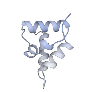 10496_6tga_H_v1-1
Cryo-EM Structure of as isolated form of NAD+-dependent Formate Dehydrogenase from Rhodobacter capsulatus
