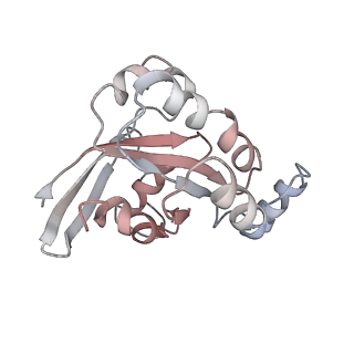 10498_6tgc_F_v1-2
CryoEM structure of the ternary DOCK2-ELMO1-RAC1 complex.