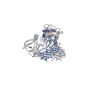 25880_7tge_B_v1-1
SARS-CoV-2 Omicron 1-RBD down Spike Protein Trimer without the P986-P987 stabilizing mutations (S-GSAS-Omicron)