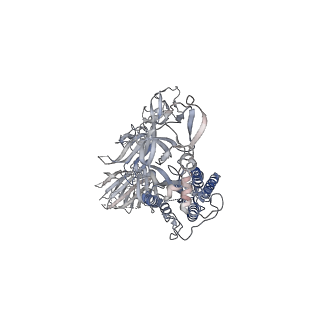 25880_7tge_C_v1-1
SARS-CoV-2 Omicron 1-RBD down Spike Protein Trimer without the P986-P987 stabilizing mutations (S-GSAS-Omicron)