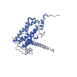 25882_7tgh_1_v1-1
Cryo-EM structure of respiratory super-complex CI+III2 from Tetrahymena thermophila