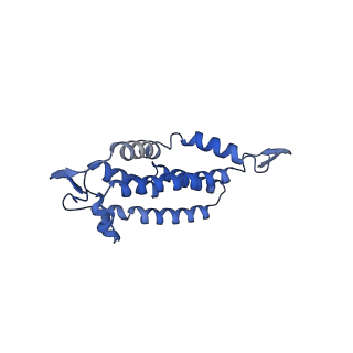 25882_7tgh_2B_v1-1
Cryo-EM structure of respiratory super-complex CI+III2 from Tetrahymena thermophila