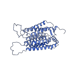 25882_7tgh_2_v1-1
Cryo-EM structure of respiratory super-complex CI+III2 from Tetrahymena thermophila