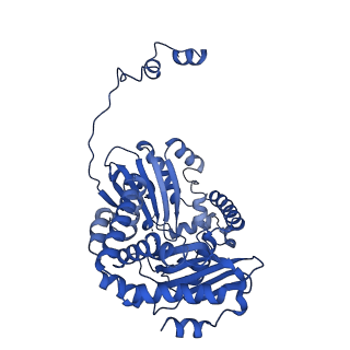 25882_7tgh_3A_v1-1
Cryo-EM structure of respiratory super-complex CI+III2 from Tetrahymena thermophila