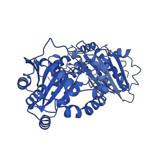 25882_7tgh_3B_v1-1
Cryo-EM structure of respiratory super-complex CI+III2 from Tetrahymena thermophila