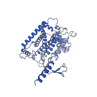 25882_7tgh_3C_v1-1
Cryo-EM structure of respiratory super-complex CI+III2 from Tetrahymena thermophila