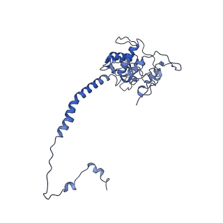 25882_7tgh_3D_v1-1
Cryo-EM structure of respiratory super-complex CI+III2 from Tetrahymena thermophila