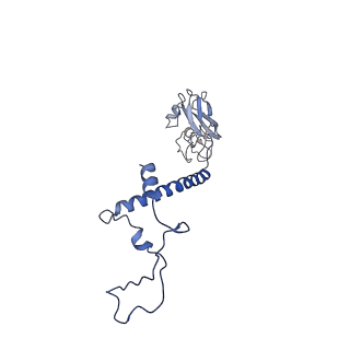 25882_7tgh_3E_v1-1
Cryo-EM structure of respiratory super-complex CI+III2 from Tetrahymena thermophila