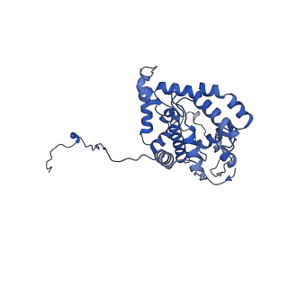 25882_7tgh_3G_v1-1
Cryo-EM structure of respiratory super-complex CI+III2 from Tetrahymena thermophila