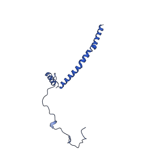 25882_7tgh_3I_v1-1
Cryo-EM structure of respiratory super-complex CI+III2 from Tetrahymena thermophila