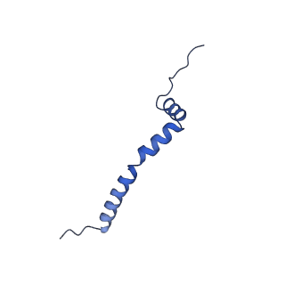 25882_7tgh_3J_v1-1
Cryo-EM structure of respiratory super-complex CI+III2 from Tetrahymena thermophila